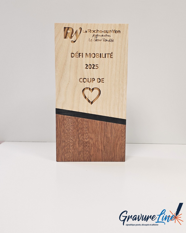 realisation_collectivité